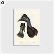 アートポストカード-Bennett's Cassowary
 - ジョン グールド Postcard.