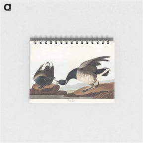 アートメモ帳-Brant Goose
 - ジョン ジェームス オーデュボン Memo.
