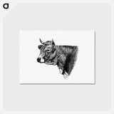 アートポストカード-Livestock Cow Engraving
 - 大英図書館 Postcard.