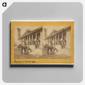 アートパネル-Panama. Pacific Mail Steamship Office
 - エドワード マイブリッジ Canvas.