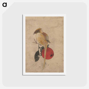 アートポストカード-Album of Sketches by Katsushika Hokusai and His Disciples - 葛飾 北斎 Postcard.