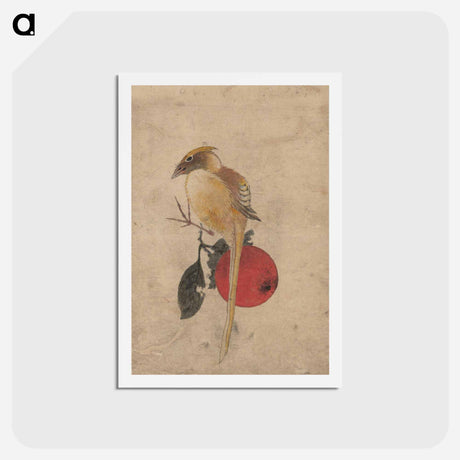 アートポストカード-Album of Sketches by Katsushika Hokusai and His Disciples - 葛飾 北斎 Postcard.