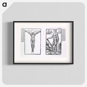 アートポスター-Muscle Plates
 - 国立医学図書館 Poster.