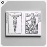 アートパネル-Muscle Plates
 - 国立医学図書館 Canvas.