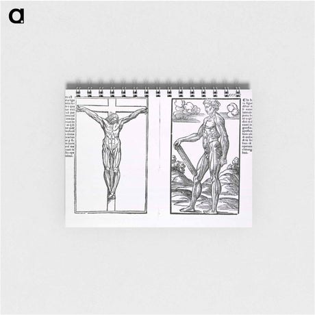 アートメモ帳-Muscle Plates
 - 国立医学図書館 Memo.