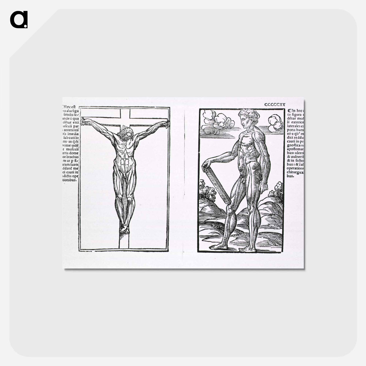 アートポストカード-Muscle Plates
 - 国立医学図書館 Postcard.