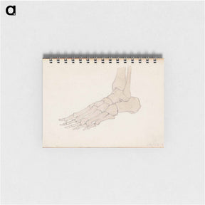アートメモ帳-(unknown) part of a sketchbook - アルバート エーデルフェルト Memo.