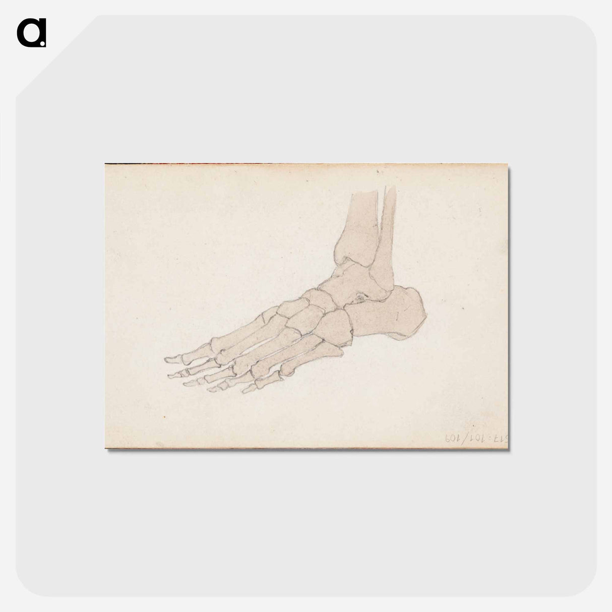 アートポストカード-(unknown) part of a sketchbook - アルバート エーデルフェルト Postcard.
