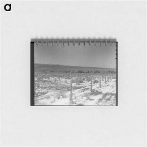 アートメモ帳-Approach to the town. Widtsoe, Utah. - ドロテア ラング Memo.