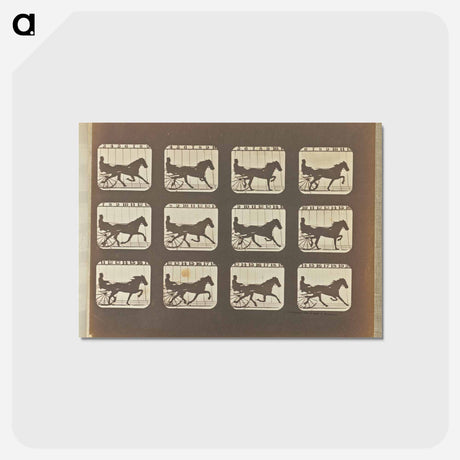 アートポストカード-Trotting
 - エドワード マイブリッジ Postcard.