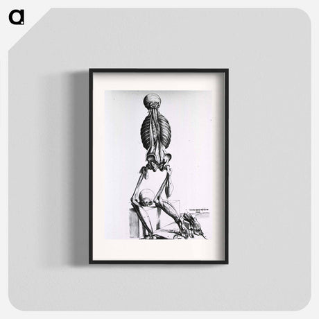 アートポスター-Muscles and Bones of the Human Body
 - 国立医学図書館 Poster.