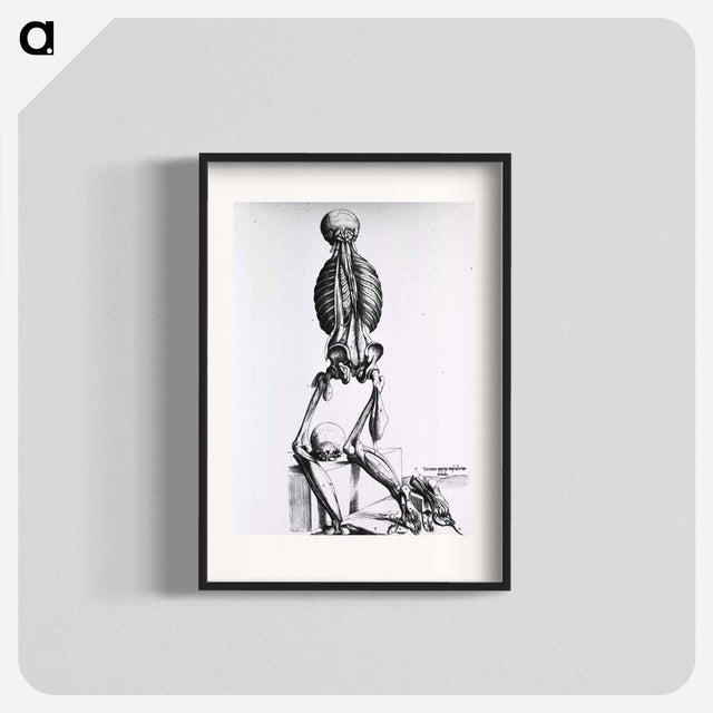 アートポスター-Muscles and Bones of the Human Body
 - 国立医学図書館 Poster.