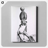 アートパネル-Muscles and Bones of the Human Body
 - 国立医学図書館 Canvas.