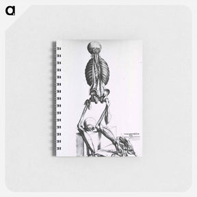 アートメモ帳-Muscles and Bones of the Human Body
 - 国立医学図書館 Memo.
