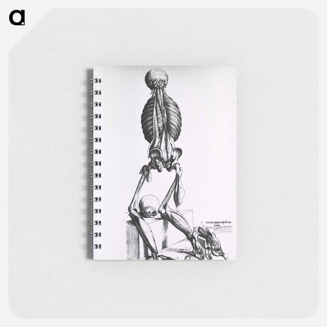 アートメモ帳-Muscles and Bones of the Human Body
 - 国立医学図書館 Memo.