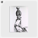アートポストカード-Muscles and Bones of the Human Body
 - 国立医学図書館 Postcard.