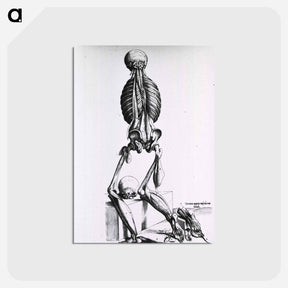 アートポストカード-Muscles and Bones of the Human Body
 - 国立医学図書館 Postcard.