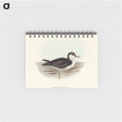 アートメモ帳-Allied Petrel
 - オーストラリアの鳥 Memo.