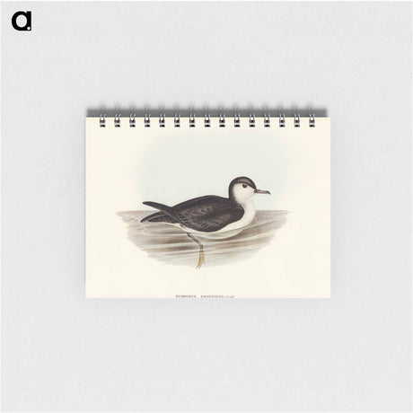 アートメモ帳-Allied Petrel
 - オーストラリアの鳥 Memo.