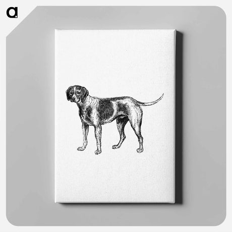 アートパネル-Pet Dog
 - 大英図書館 Canvas.