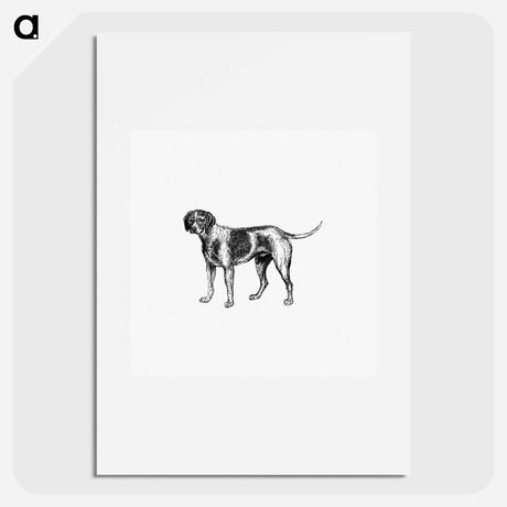 アートポスター-Pet Dog
 - 大英図書館 Poster.