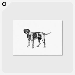 アートポストカード-Pet Dog
 - 大英図書館 Postcard.