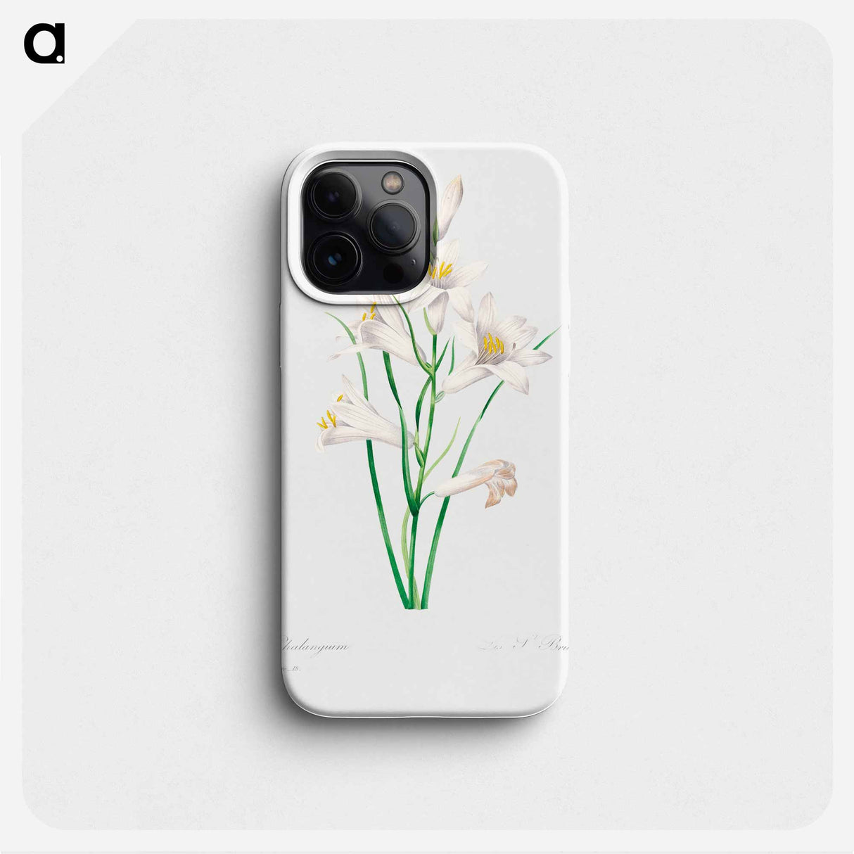 White lily - Pierre Joseph Redouté Phone Case.