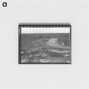 アートメモ帳-Untitled photo - ドロテア ラング Memo.