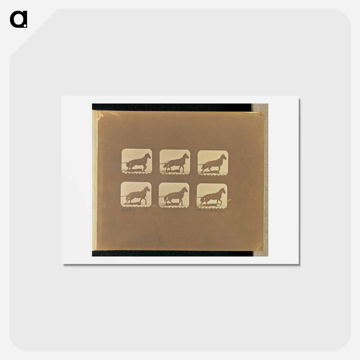 アートポストカード-Hauling
 - エドワード マイブリッジ Postcard.