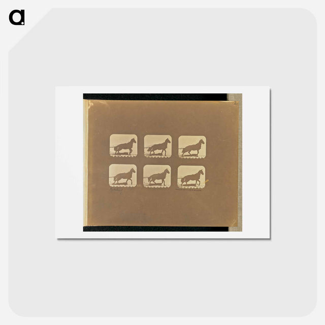 アートポストカード-Hauling
 - エドワード マイブリッジ Postcard.