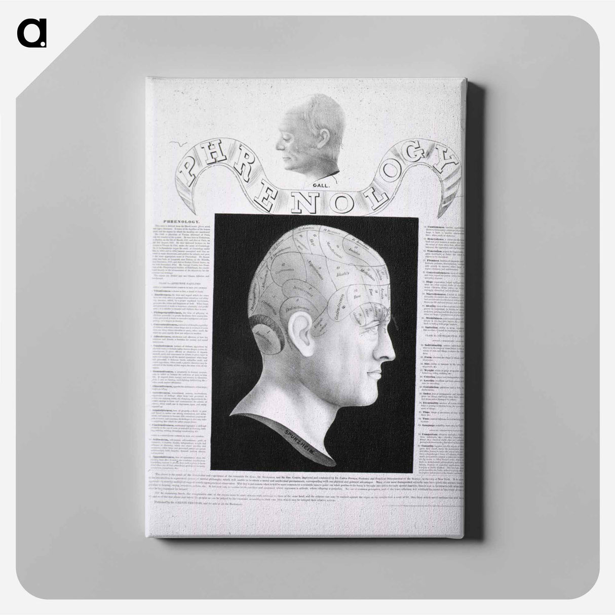 アートパネル-Phrenological Study
 - 国立医学図書館 Canvas.