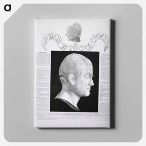 アートパネル-Phrenological Study
 - 国立医学図書館 Canvas.