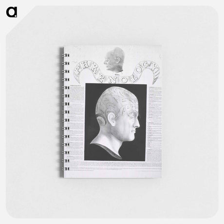 アートメモ帳-Phrenological Study
 - 国立医学図書館 Memo.