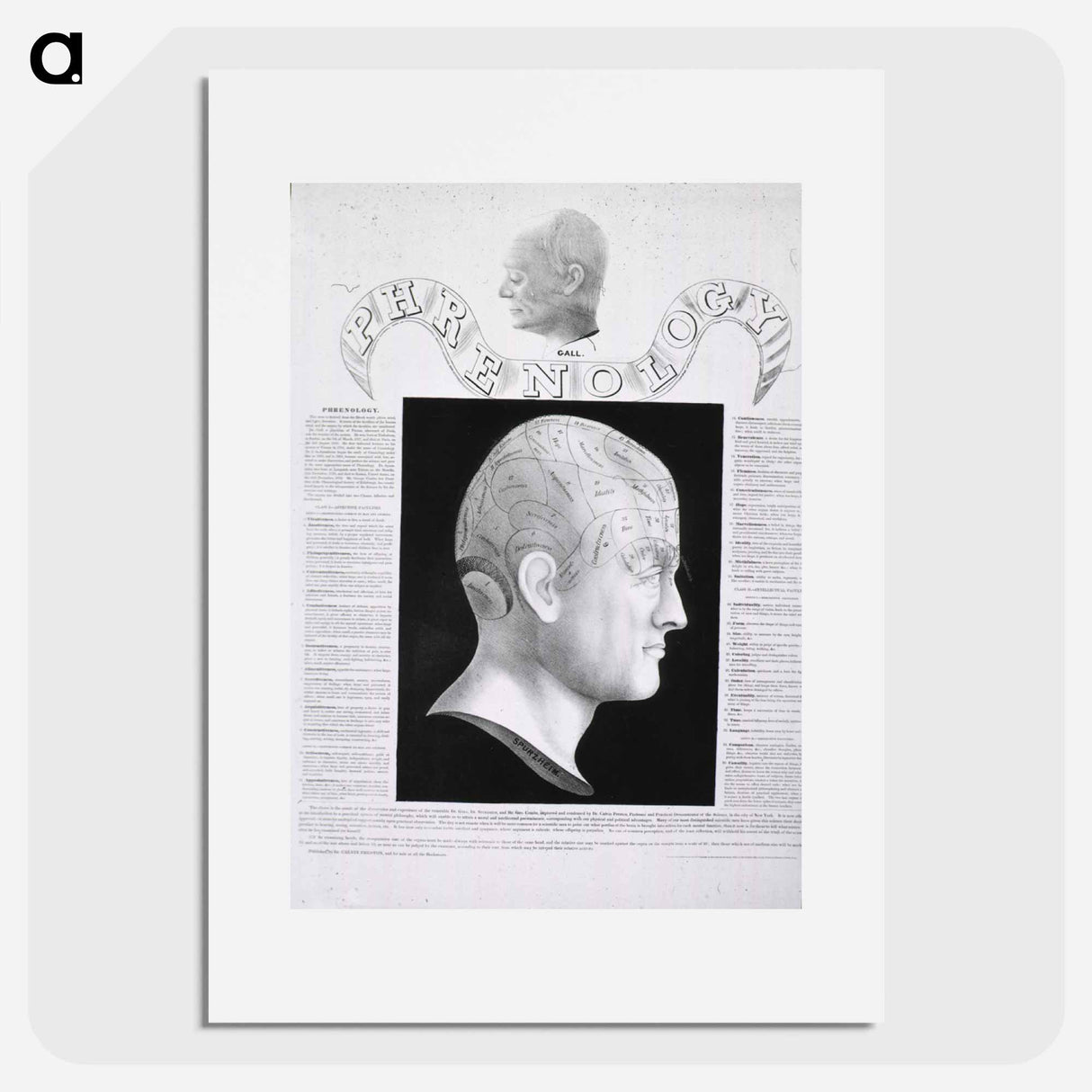 アートポスター-Phrenological Study
 - 国立医学図書館 Poster.