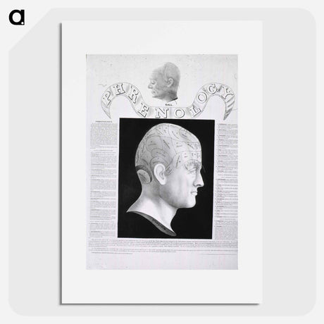 アートポスター-Phrenological Study
 - 国立医学図書館 Poster.