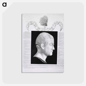 アートポストカード-Phrenological Study
 - 国立医学図書館 Postcard.