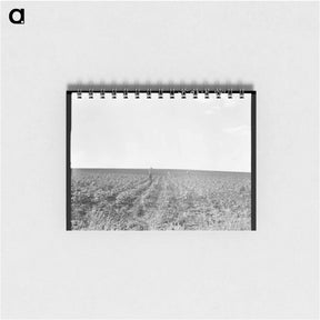アートメモ帳-Hoeing cotton - ドロテア ラング Memo.