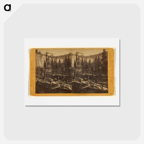 アートポストカード-Yowiye Bench
 - エドワード マイブリッジ Postcard.