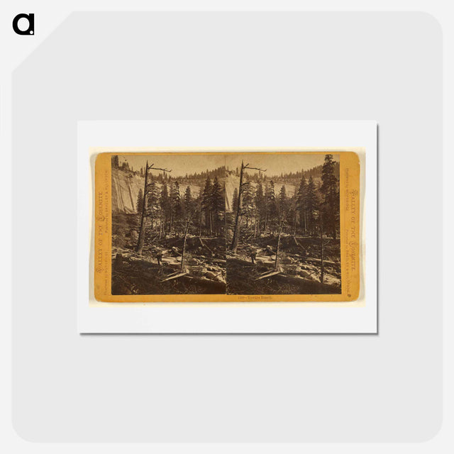 アートポストカード-Yowiye Bench
 - エドワード マイブリッジ Postcard.