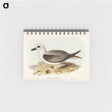 アートメモ帳-White-headed Petrel
 - オーストラリアの鳥 Memo.