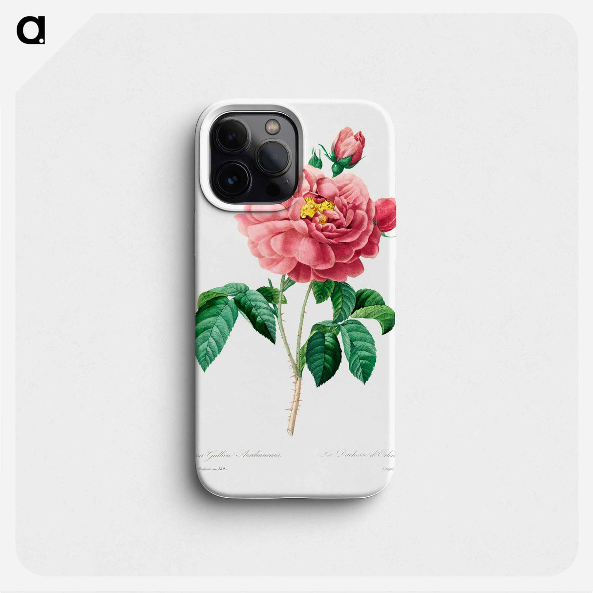 Pink rose - ピエール ジョゼフ ルドゥーテ Phone Case.