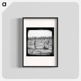 Drying up corn near Eutaw, Alabama - Dorothea Lange Poster.