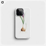 Blue Dutch iris - Pierre Joseph Redouté Phone Case.