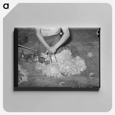 アートパネル-Oats
 - ラッセル リー Canvas.