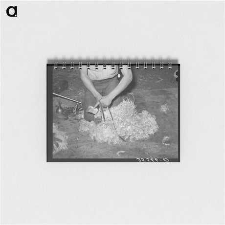 アートメモ帳-Oats
 - ラッセル リー Memo.