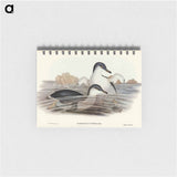 アートメモ帳-Fairy Penguin
 - オーストラリアの鳥 Memo.