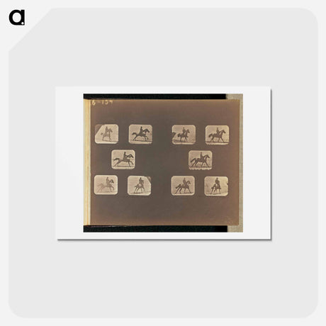 アートポストカード-Running. Cantering
 - エドワード マイブリッジ Postcard.