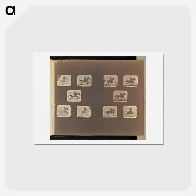 アートポストカード-Running. Cantering
 - エドワード マイブリッジ Postcard.