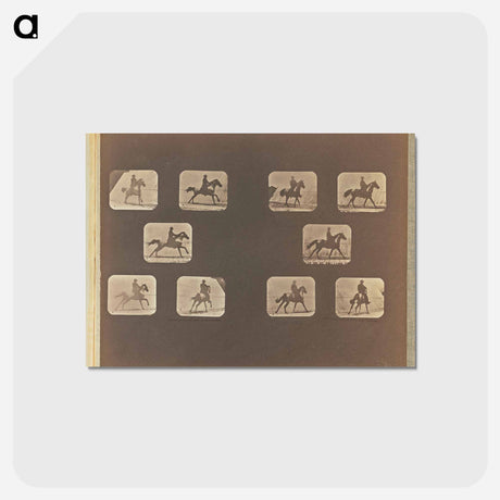 アートポストカード-Running. Cantering
 - エドワード マイブリッジ Postcard.