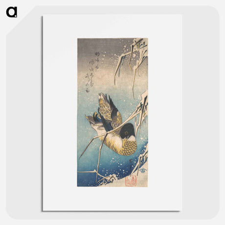 アートポスター-Mallard and Snow-covered Reeds
 - 歌川 広重 Poster.